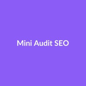 Mini Audit SEO Express